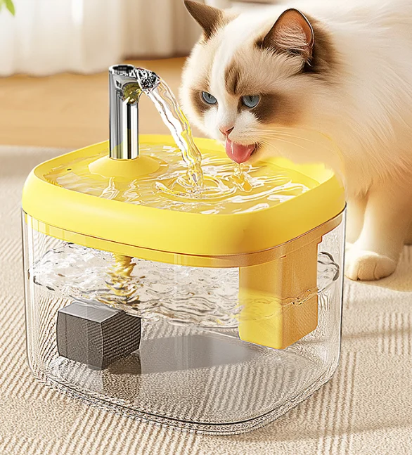 best cat water fountain