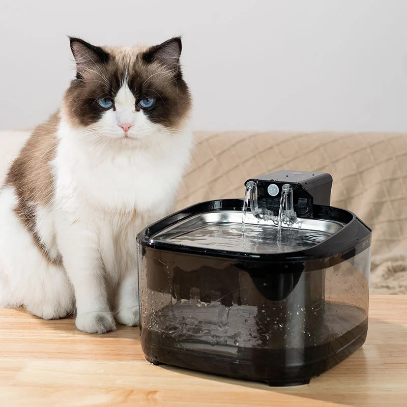 best cat water fountain
