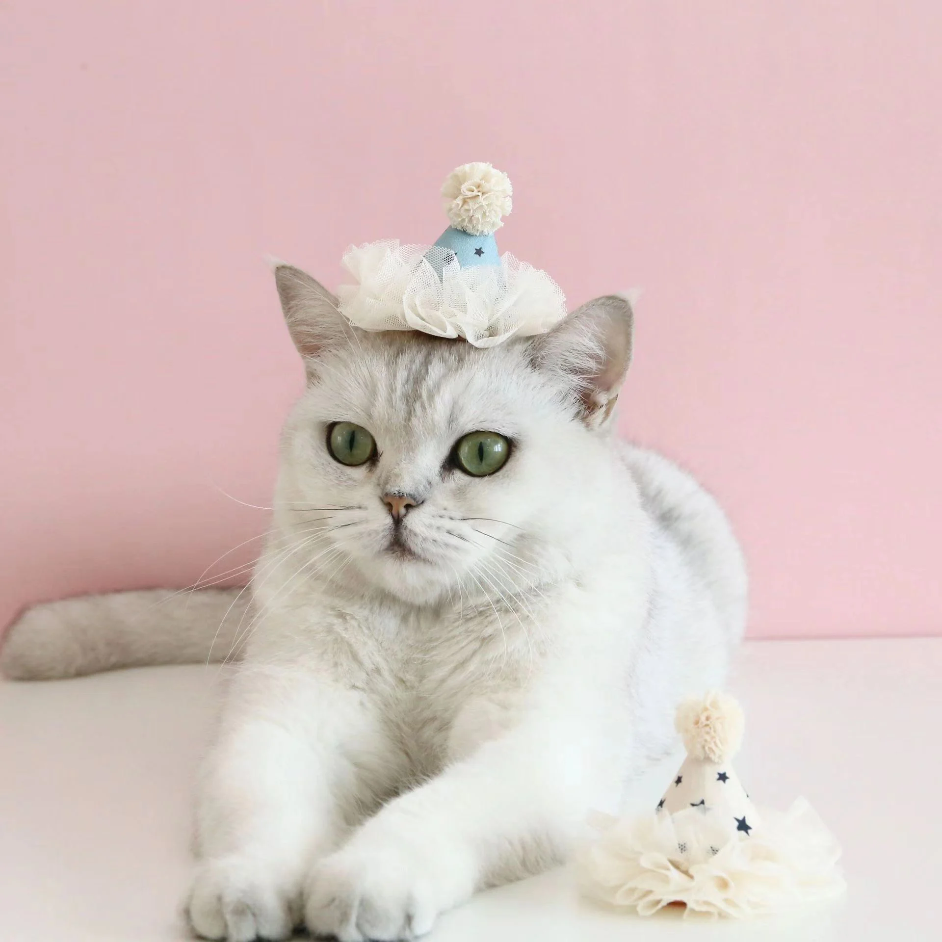 cat hair pin