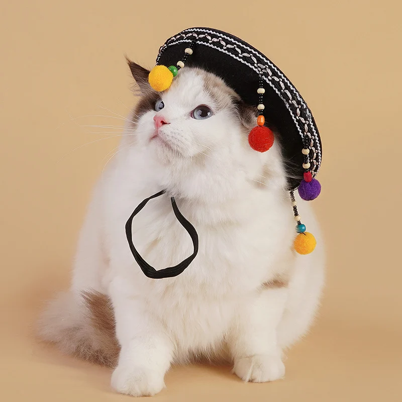 cat sombrero