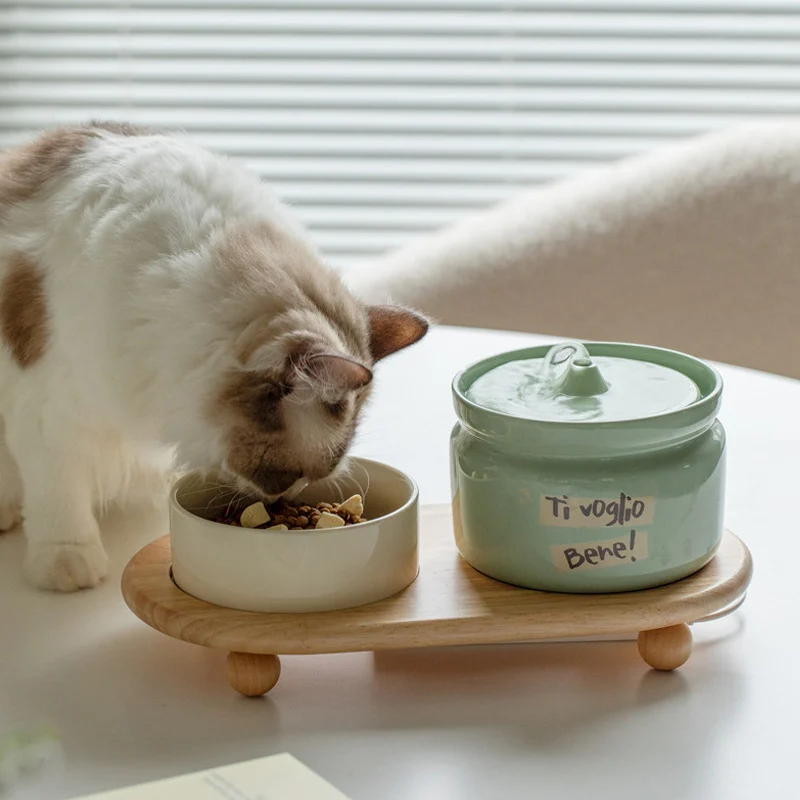 ceramic cat water fountain