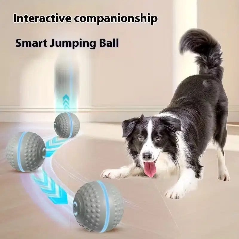 Smart Dog Toys - Image 4