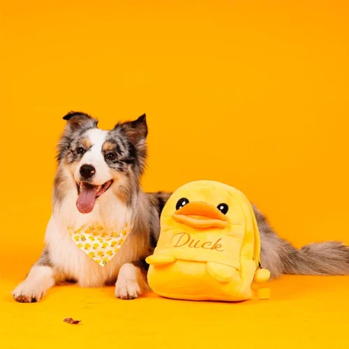 Dog Backpack With Harness