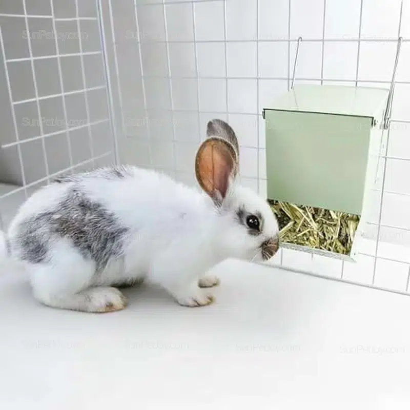 Small Animals Durable PP Hanging Feeder for Wire Cages | Wholesale - Image 5