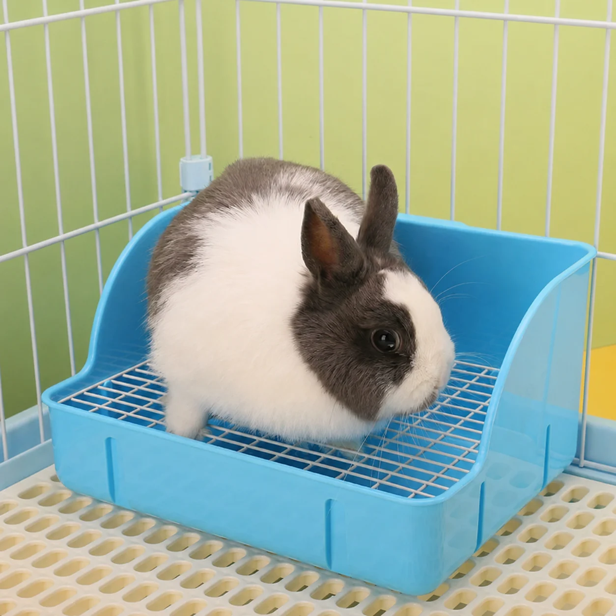 Rabbit Litter Box