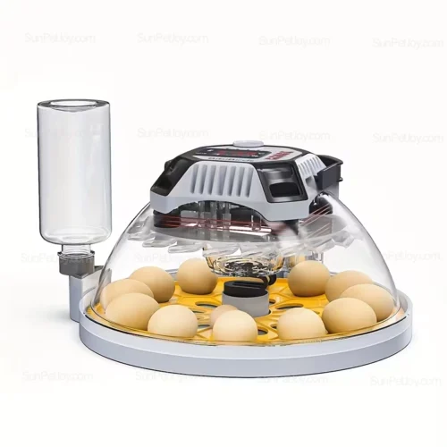 Automatic Egg Incubator with Auto Egg Turning System | Wholesale