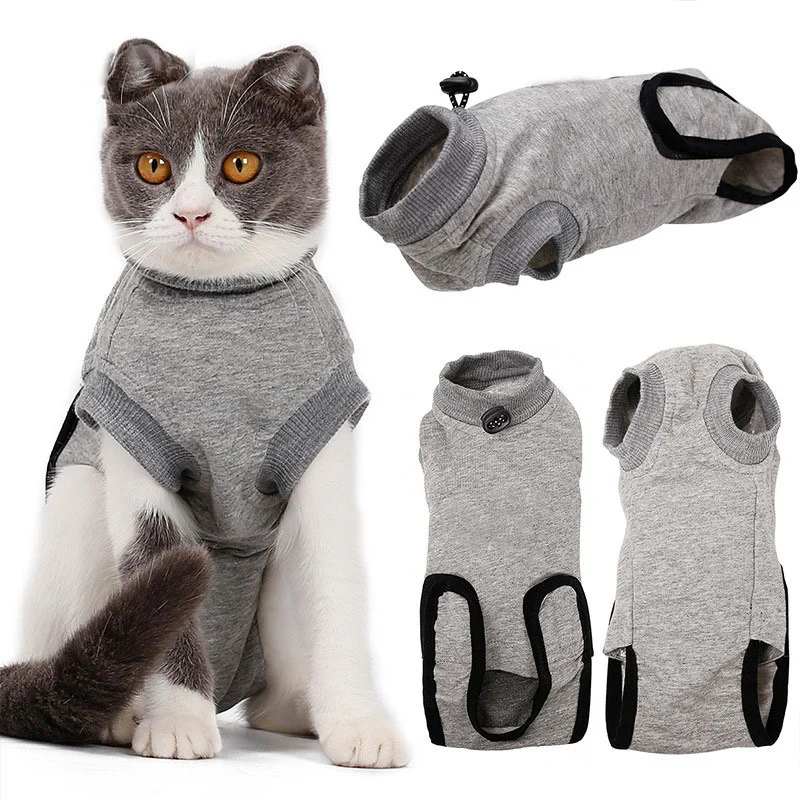 Cat Surgical Suit