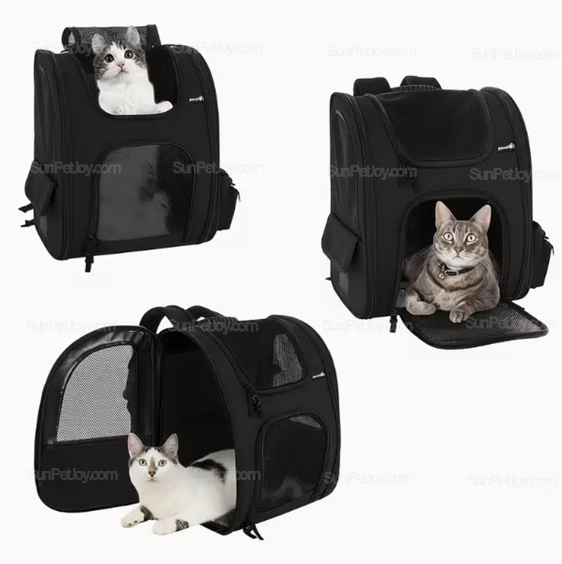 Custom Cat Travel Backpack with Breathable Mesh Panels