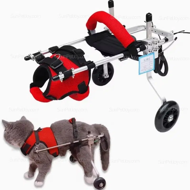 Custom Cat Wheelchair for Rear Leg Rehabilitation