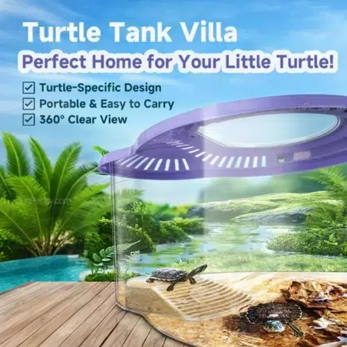 Flip-Top Skylight Turtle Enclosure with Handle | OEM
