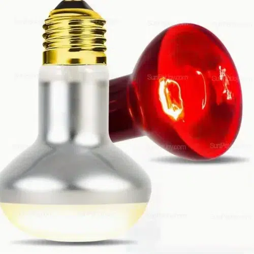 Heating Lamp for Reptiles Warm Light Setup - OEM