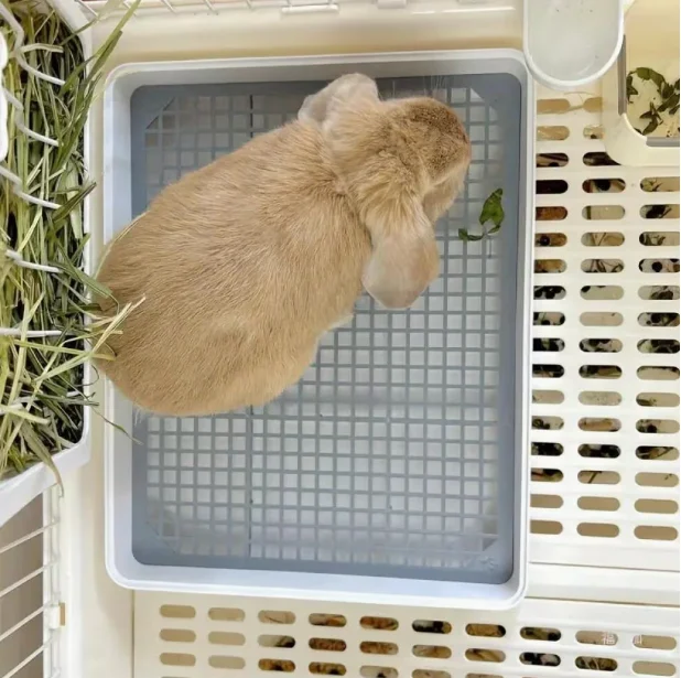 Large Rabbit Litter Box