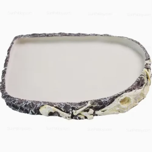 Flat Resin Feeding Plate for Tortoise & Turtle Habitats | Wholesale