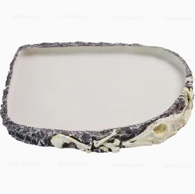 Flat Resin Feeding Plate for Tortoise & Turtle Habitats | Wholesale