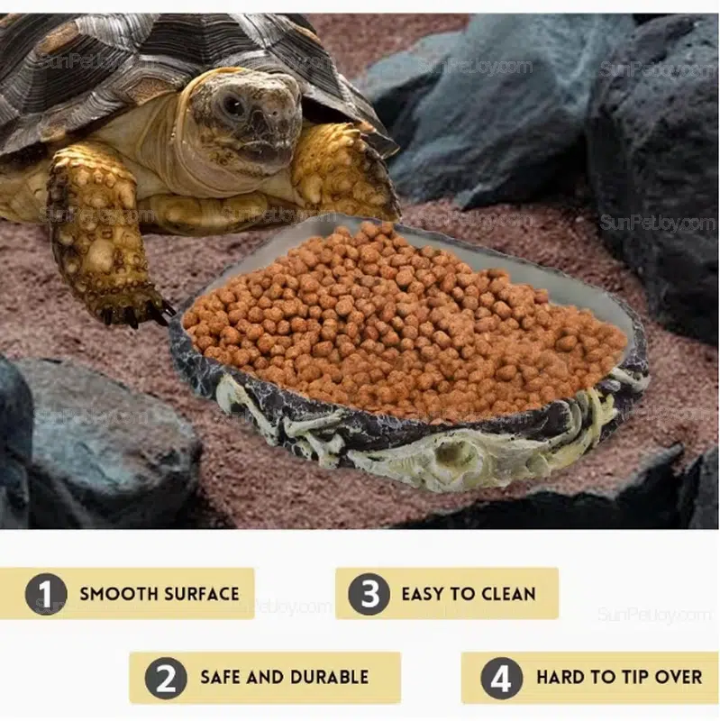 Flat Resin Feeding Plate for Tortoise & Turtle Habitats | Wholesale - Image 3