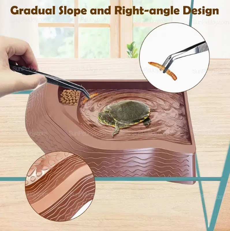 Modular Turtle Bath Pool Set with Feeding & Decor Inserts | Custom - Image 5