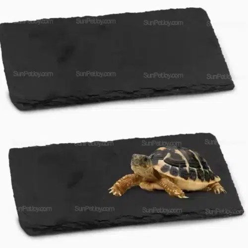 Natural Slate Reptile Basking Plate, Heat-Absorbing Design | Wholesale