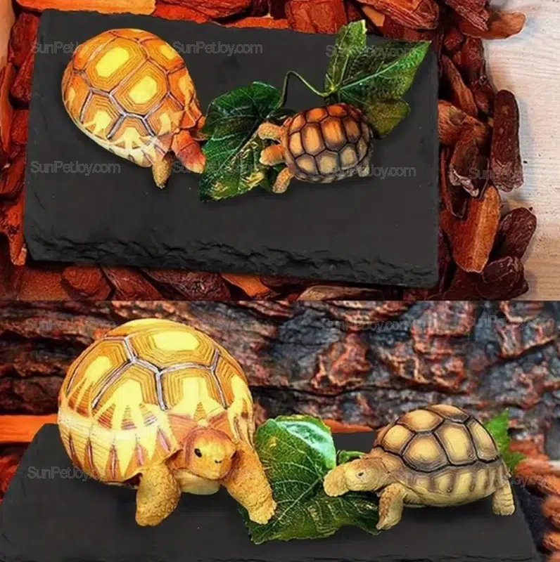 Natural Slate Reptile Basking Plate, Heat-Absorbing Design | Wholesale - Image 3