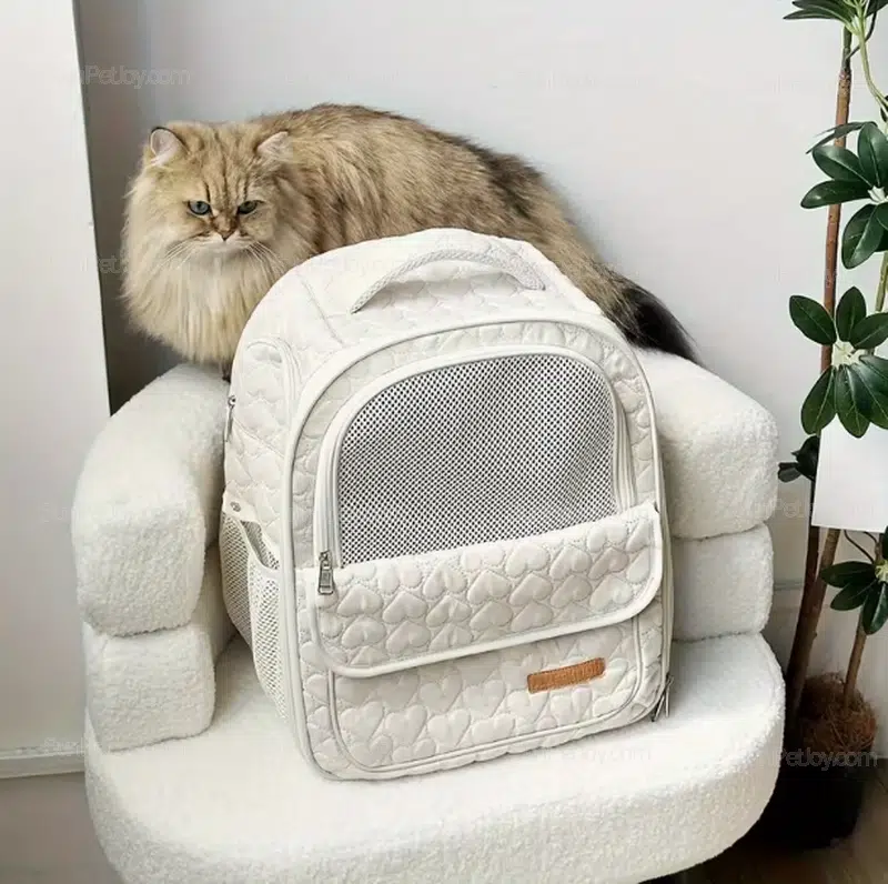 Cat Backpack With Window