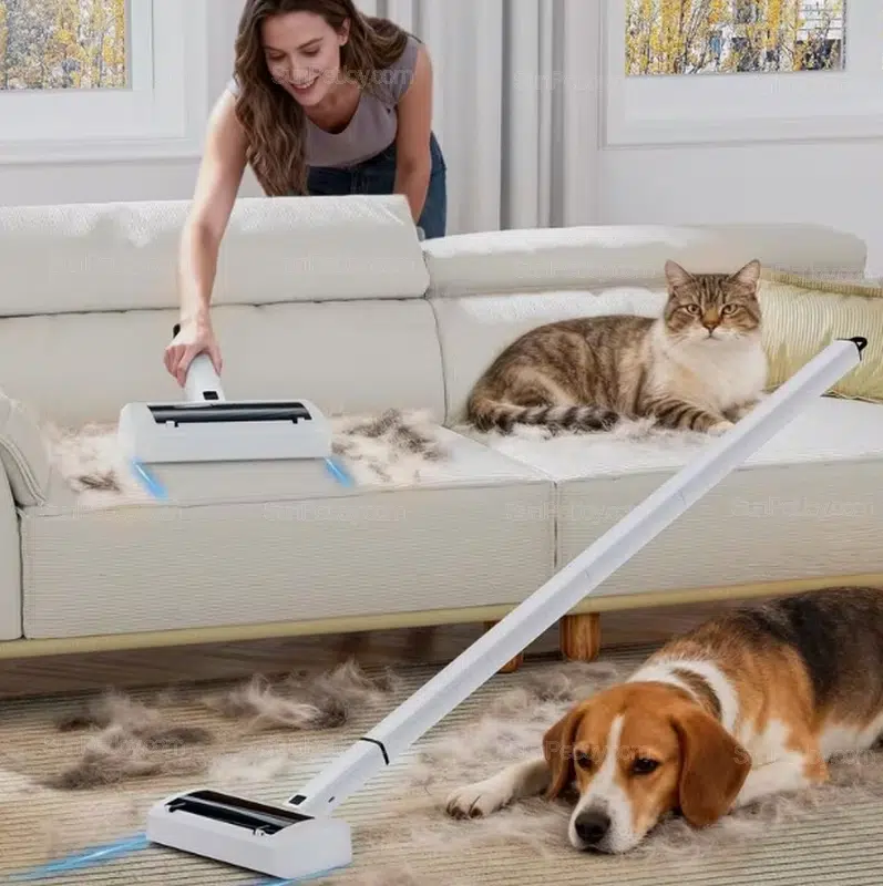 OEM Cat High-Efficiency Electric Hair Remover for Home Textiles