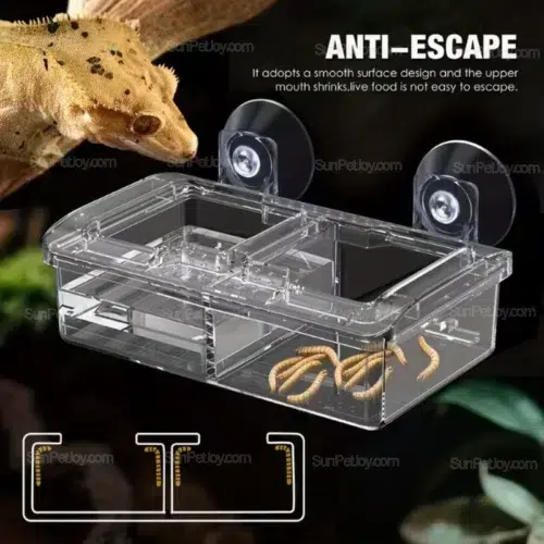 OEM Lizards Anti-Escape Suction Dual Feeding Bowl