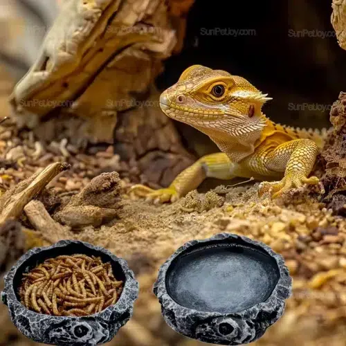 OEM Resin Feeding Bowl Set for Lizards with Water Dish