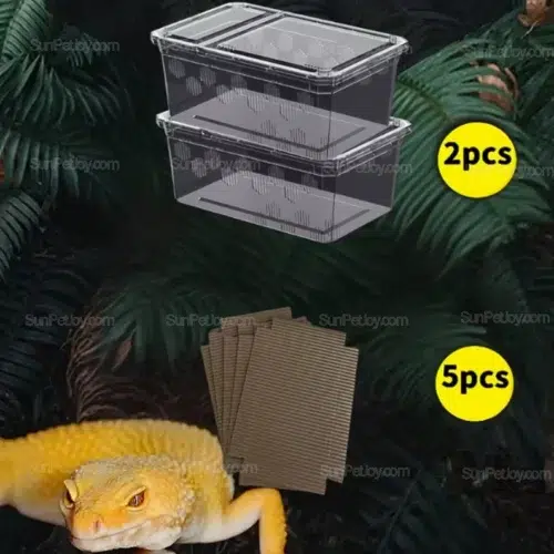 OEM Ventilated Lizard Breeding Box Set with Clear PP Enclosure