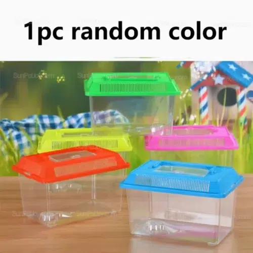 Portable Reptile Transport Box with Ventilated Lid | Wholesale