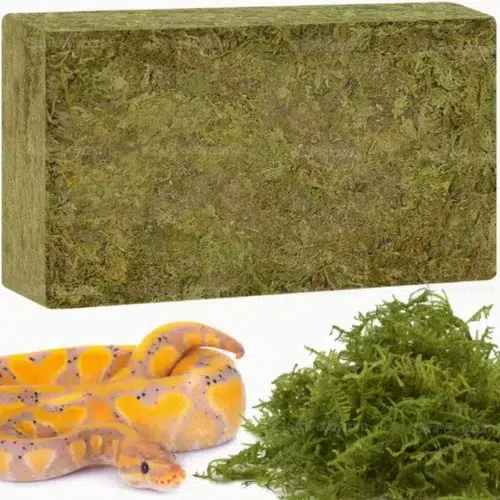 Premium Sphagnum Moss for Snakes Moisture Control | Wholesale