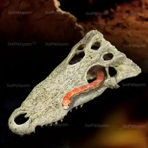 Reptile Habitat Skull Hide Box in Molded Resin | Wholesale