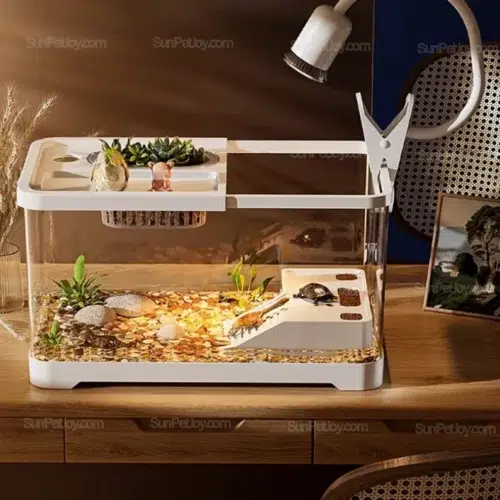 Reptile Terrarium Kit with Basking Terrace & Slide | Wholesale