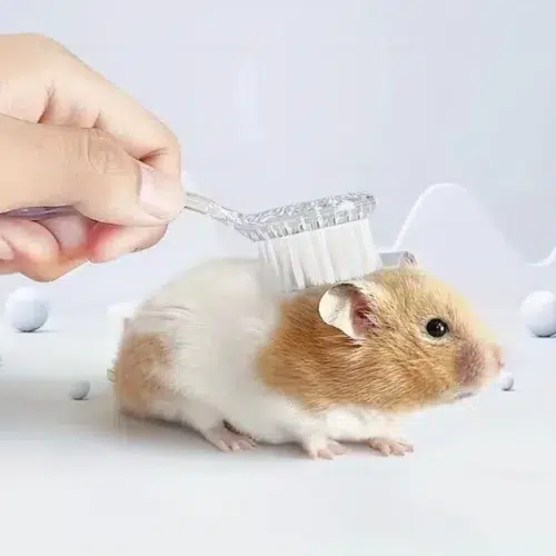 OEM Small Animals Compact Massage Brush for Undercoat Care