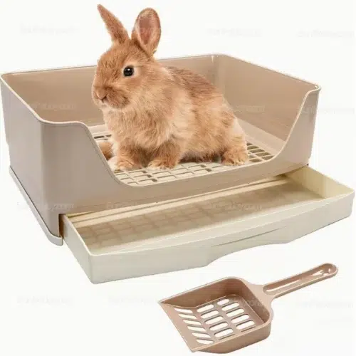 Wholesale Small Animals Easy-Clean Tray