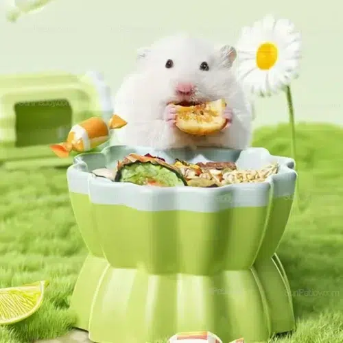 Wholesale Small Animals Elevated Ceramic Food Bowl, Stable Base