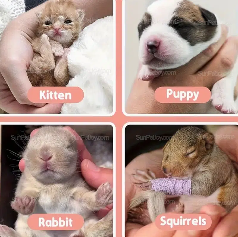 OEM Small Animals Multi-Purpose Feeding Syringe Set - Image 4