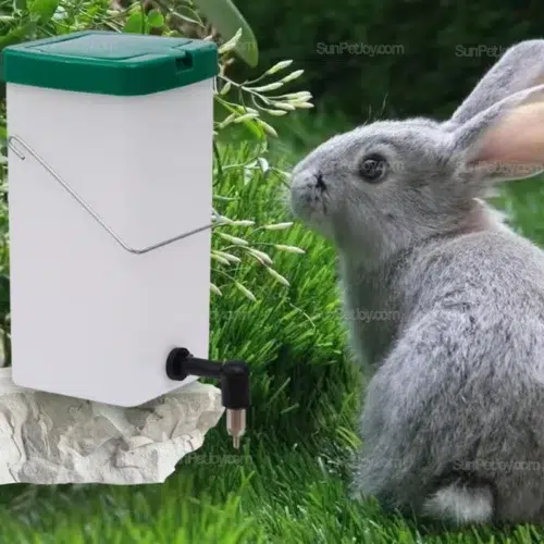 OEM Large Capacity Rabbit Water Bottle with Leakproof Stainless Nipple