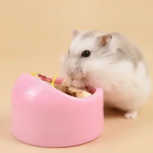 Small Animals Anti-Tip Feeding Bowl OEM, Thick Plastic Design