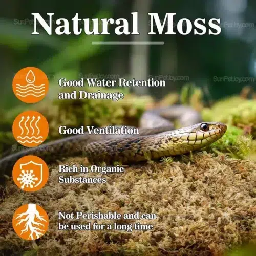 Snakes Sphagnum Moss Bedding for Terrariums | Wholesale