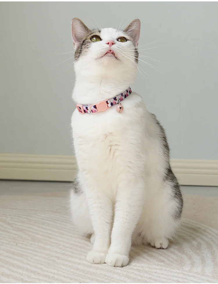 Soft Collar For Cats