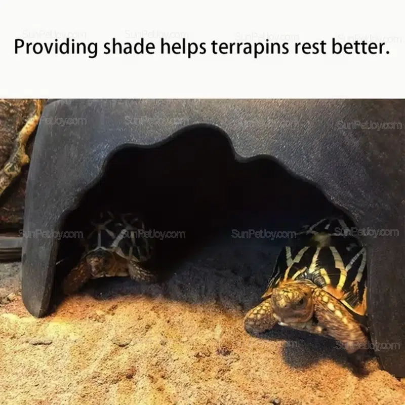 Textured Rock Hide for Turtles and Lizards, OEM - Image 3