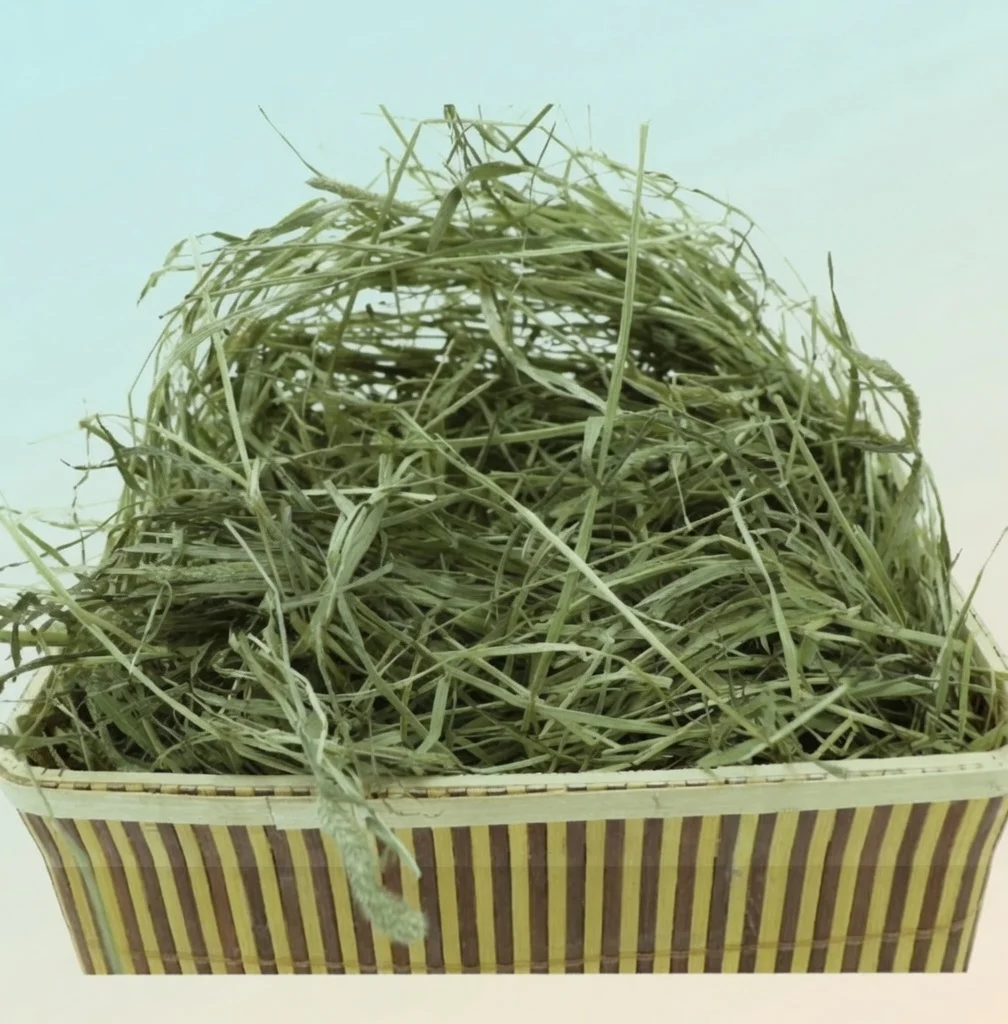Timothy Hay For Rabbits