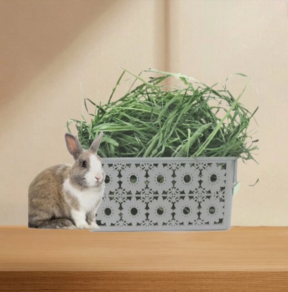 Timothy Hay For Rabbits