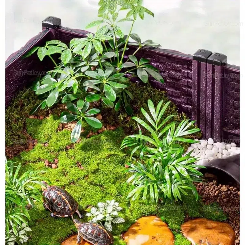 Turtle Breeding Box with Drainage & Wheels | Wholesale - Image 5