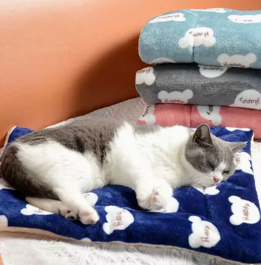 Warming Cat Pad
