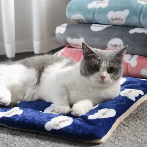 Warming Cat Pad