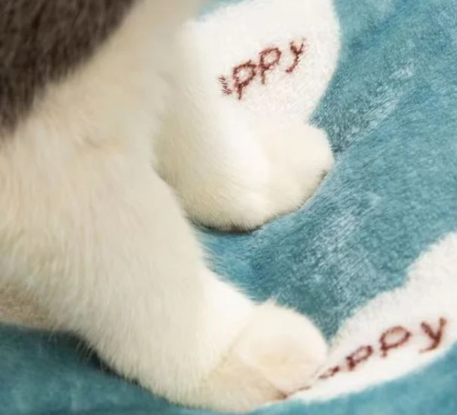 Warming Cat Pad