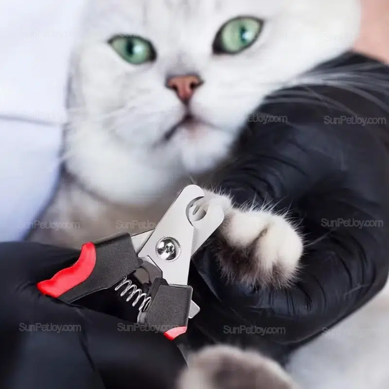 Wholesale Cat Nail Clipper Set with Safety Guard, 4-Piece Stainless Kit - Image 7