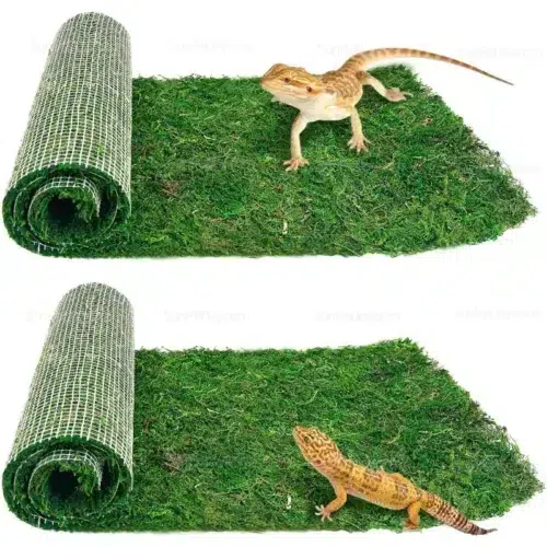 Wholesale Cut-to-Fit Lizards Moss Substrate Mat for Terrariums