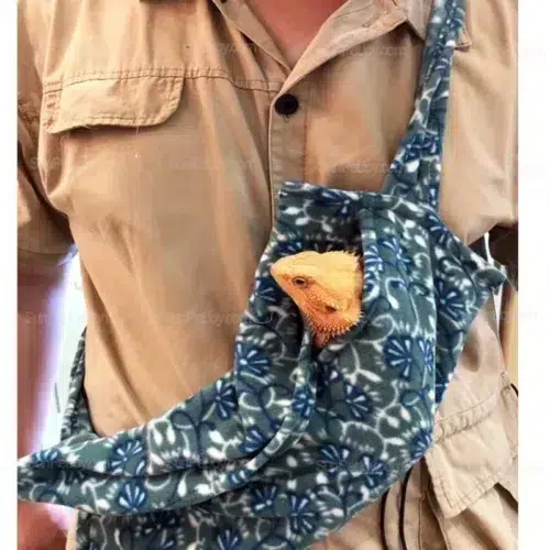 Wholesale Lizard Travel Carriers with Adjustable Leash