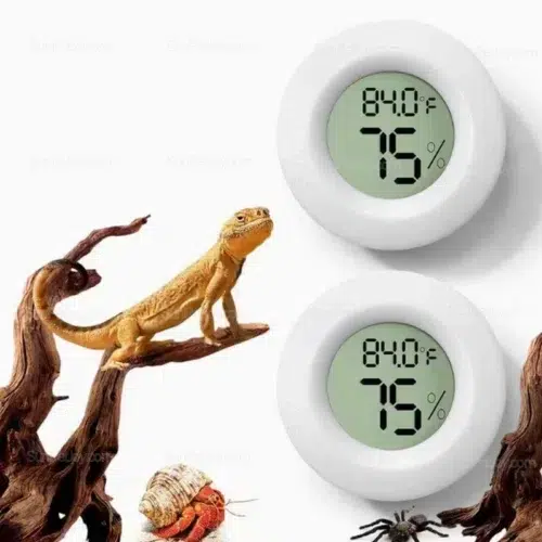 Wholesale Lizards Digital Thermometer Hygrometer Set 2pcs